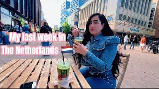 A Day in My Life: My Last Week in the Netherlands 