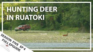 Hunting Aotearoa Series 5 Ep04 Hunting deer in Ruatoki, New Zealand