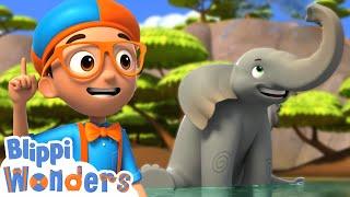 Blippi Meets an Elephant! | Blippi Wonders | Learn ABC 123 | Fun Cartoons | Moonbug Kids