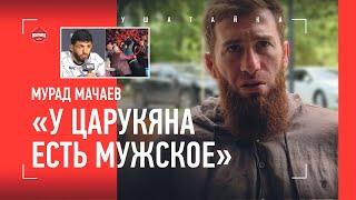 МАЧАЕВ: "Психологи лезут в Дагестан с пропагандой феминизма" / Махачев и Царукян, позиция ШЛЕМЕНКО