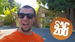 Sacramento Zoo, a full walk through, plus food review! It's my first time visiting.