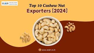 Top 10 Cashew Nut Exporters [2024]: Your Ultimate Sourcing Guide