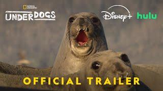 Underdogs | Official Trailer | National Geographic