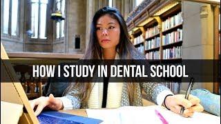 HOW I STUDY IN DENTAL SCHOOL // LauraSmiles