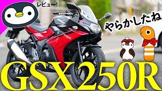 20台持ってるのに、GSX250Rを買ったのでレビュー