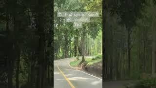 รีวิวบ้านพักอุทยานแห่งชาติทุ่งแสลงหลวง Ep.2