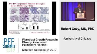 Fibroblast Growth Factors in Bleomycin-induced Pulmonary Fibrosis | Robert Guzy, MD