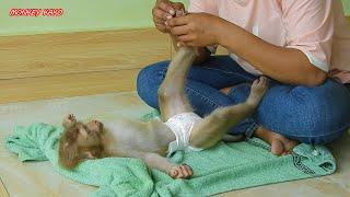 Adorable Monkey Kako Grooming And Asleep When Mom Take Care For Him