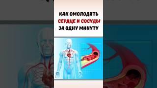 Как омолодить сердце и сосуды за 1 минуту в день