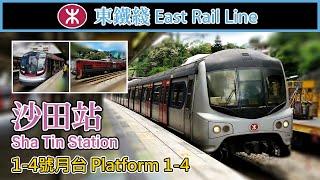   沙田站 MTR Sha Tin Station 2021 (4 platforms all in use: MLR-train, R-train)