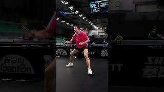 Up close with birthday star Calderano  #WTTLjubljana #TableTennis