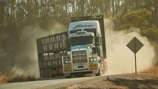 Life as an outback cattle transporter - Fraser's Transport