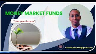 What you need to know about Money Market Funds (MMF)