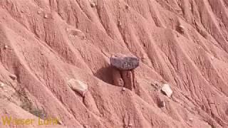 2017 0923 piramidi di Terra - SAN GENESIO (BZ) Wieser Lahn