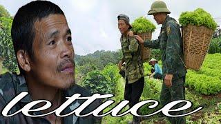 Soldier Hong and His Dad Earn from Selling Vegetables: A Major Rainstorm on the Farm | Sung A Pao