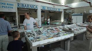 A Capodistria in pescheria - David Sinkovič