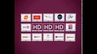 OVHD EDUCATIONAL INSERT PAL
