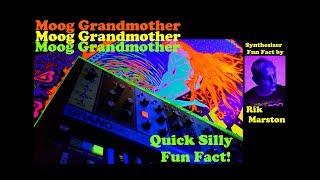 Moog Grandmother Quick Silly Fun Fact Analog Synthesizer Rik Marston