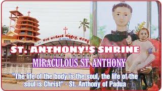 Miraculous St. Anthony | St. Anthony's Shrine Kerekatte | Must Watch | Konkani | TFRCC TV