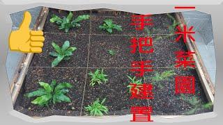 一米菜園的建置手把手教學One-meter vegetable garden construction/陽台種菜就是這樣簡單Balcony planting/我的園藝生活Gardening life