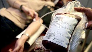 FDA plans to end prohibition on blood donation by gay men