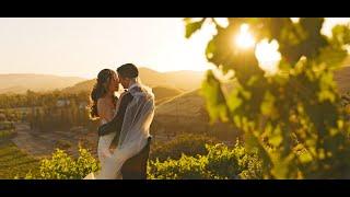 Jared & Jessica / Viansa Winery Sonoma Wedding