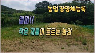 24- 09//급매/철마!! 맑은 물이 흐르는 작은 개울과 접해 있는 농장입니다. 농업경영체등록도 가능합니다..