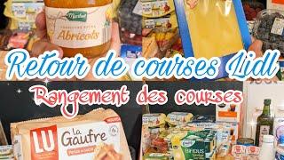 RETOUR DE COURSES LIDL & RANGEMENT DES COURSES