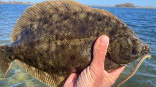 Shore Fishing for Limits+ of Winter Flounder with Sandworms and Gulp!