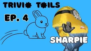 Sharpie Attempts to Hop Through his Regular Season Match | Trivia Tails Season 1 Ep. 4