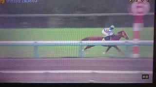 20230312 中山10R 東風ステークス(リステッド)【素人競馬実況】