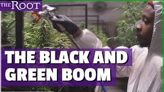 This Weed Cultivates Black Entrepreneurs