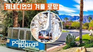 [FULL영상] 사계절 휴양지 - 캘리포니아, 팜 스프링스 PALM SPRINGS #palmsprings #california