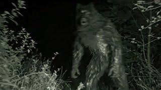 THESE ARE THE MOST SCARIEST DOGMAN SIGHTINGS THAT PEOPLE HAVE REPORTED!!