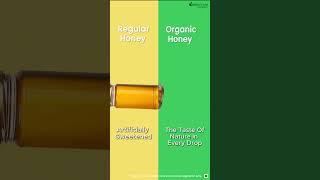 Regular Honey vs Organic Wild Forest Honey: What's the Difference?  #shorts #organichoney