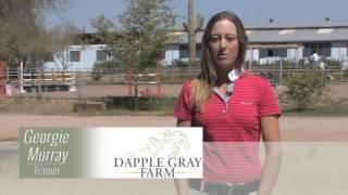 Dapple Grey Farm