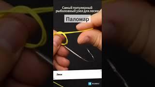 Самый популярный рыболовный узел для лески – Паломар!  #рыбалка #fishing #снасти #привязатькрючок