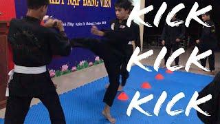 Pencak Silat kick training