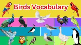 Birds Vocabulary | Bird Names and Sounds | English Vocabulary For Kids