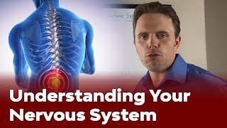 Understanding Your Nervous System - Adrenal and Thyroid Stress