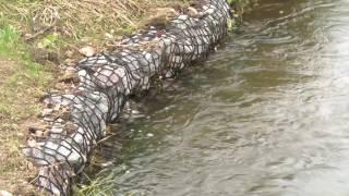 Hills to Levels - Riverbank Stabilisation #5