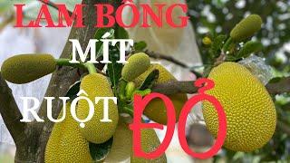 Cách làm bông mít ruột đỏ inđô lá bầu || How to make red jackfruit flowers