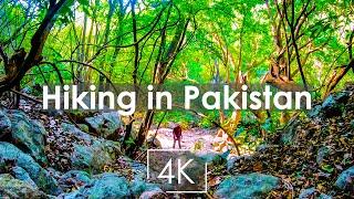 Hiking in Pakistan - Trail 6 Islamabad -  A Kraig Adam's Style Hiking Film - 4K