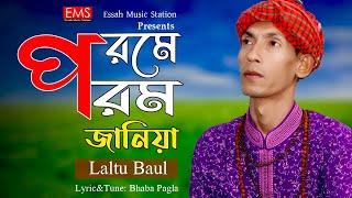 Porome Poromo Janiya | পরমে পরম জানিয়া | Laltu Baul | ভবা পাগলার গান | New Music Video Song