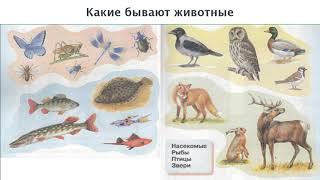 Окружающий мир 1 класс ч.1, тема урока "Какие бывают животные", с.42-43, Перспектива