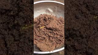 How to get gold naturally?