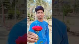 O madam jee   ️I love you #shortvideo #youtubeshorts #funnyvideo #dhiraj #viralvideo #comedyvideo