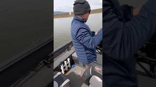 NorCal fishing- Tan's fish sturgeon 2020