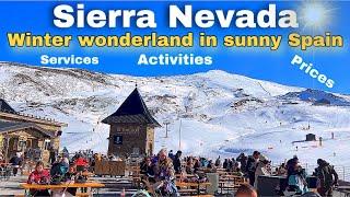 Discover SIERRA NEVADA - Most POPULAR Ski Resort in Spain! | December 2023