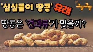 심심풀이 땅콩 유래  땅콘은 견과류가 맞을까?  ||  그말그말